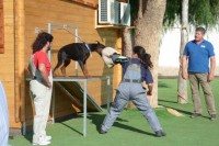 /album/trabajo-deportivo/manga-a-alfa-jpg/